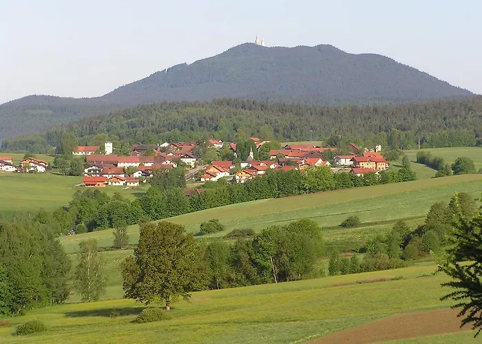 Soelln